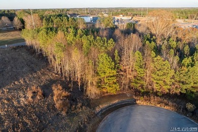 In the heart of Lake Gaston's most coveted commercial corridor - photo 18