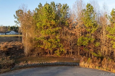 In the heart of Lake Gaston's most coveted commercial corridor - photo 19