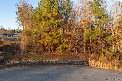 In the heart of Lake Gaston's most coveted commercial corridor - photo 20