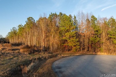 In the heart of Lake Gaston's most coveted commercial corridor - photo 21