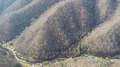 (private lake, pond, creek) Acreage For Sale in Grundy Virginia