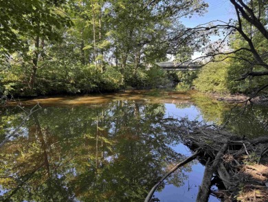 Lake Lot For Sale in Rudolph, Wisconsin