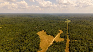 Lake Acreage For Sale in Birch Tree, Missouri