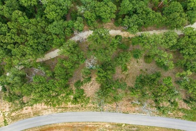 Build your dream home on this beautiful 1.63-acre elevated lot - photo 3