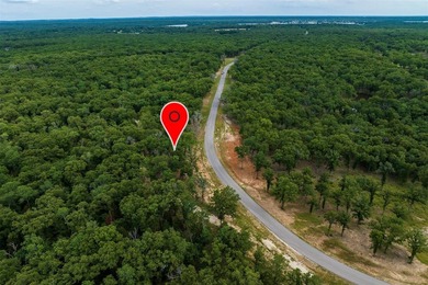 Build your dream home on this beautiful 1.63-acre elevated lot - photo 6