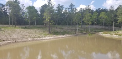 Blank canvas!  Beautiful property with great potential!  Cleared - Lake Acreage For Sale in Burkeville, Texas
