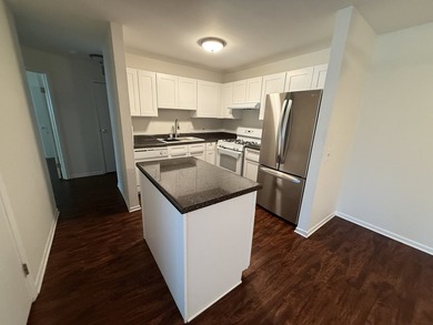 1st Floor Unit Newly Updated! Secure Entrance! The kitchen - photo 3