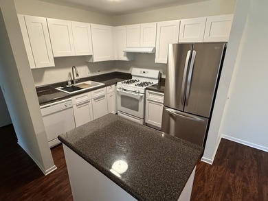 1st Floor Unit Newly Updated! Secure Entrance! The kitchen - photo 4