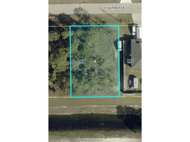 Lehigh Acres Area Lot Sale Pending in Lehigh Acres Florida