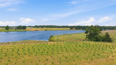 Nestled in the rolling countryside of Henderson County in LaRue - photo 15
