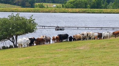 Nestled in the rolling countryside of Henderson County in LaRue - photo 18