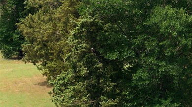 Nestled in the rolling countryside of Henderson County in LaRue - photo 29