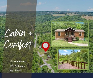 Table Rock Lake Home Sale Pending in Blue Eye Missouri