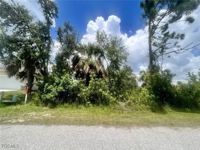 Port Charlotte Waterway Area Lot For Sale in Port Charlotte Florida