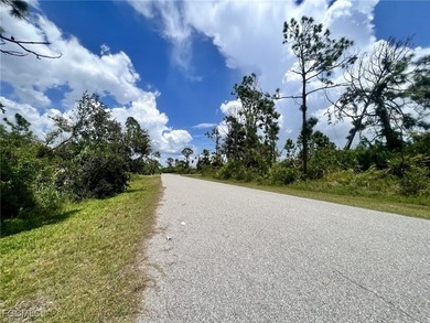 Beautiful lot offers a unique opportunity to build the home of - photo 3