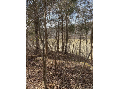 Lake Lot For Sale in Burnside, Kentucky