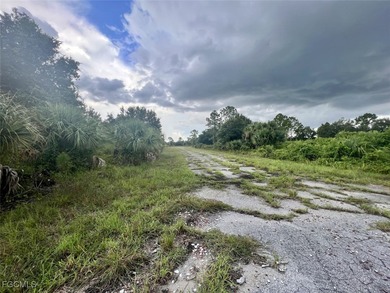 Beautiful lot offers a unique opportunity to build the home of - photo 2