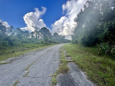Beautiful lot offers a unique opportunity to build the home of - photo 3