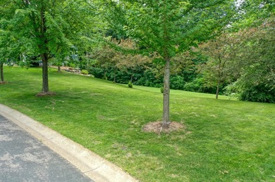 **OPEN BUILDER:** WOODED WALKOUT LAKEVIEW LOT in Forest Hills - photo 7