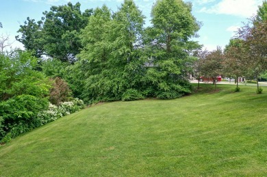 **OPEN BUILDER:** WOODED WALKOUT LAKEVIEW LOT in Forest Hills - photo 8