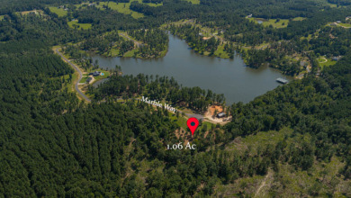 Looking for the perfect spot to build your East Texas retreat? - photo 1