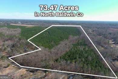 Lake Sinclair Acreage For Sale in Milledgeville Georgia