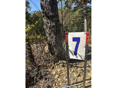Looking for a wooded building lot near Wood Creek Lake? This .78 - photo 4