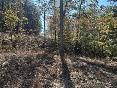 Looking for a wooded building lot near Wood Creek Lake? This .78 - photo 5