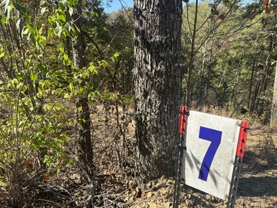 Looking for a wooded building lot near Wood Creek Lake? This .78 - photo 6