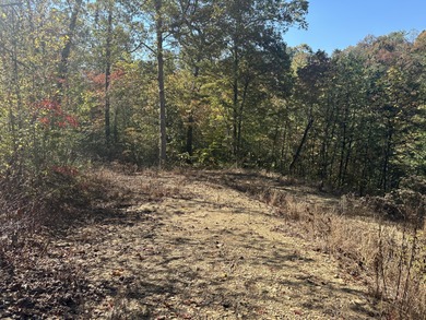 Looking for a wooded building lot near Wood Creek Lake? This .78 - photo 7