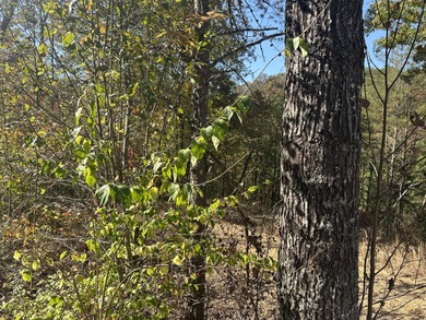 Looking for a wooded building lot near Wood Creek Lake? This .78 - photo 8