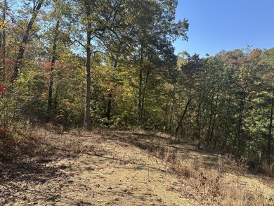 Looking for a wooded building lot near Wood Creek Lake? This .78 - photo 9