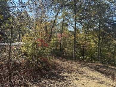 Looking for a wooded building lot near Wood Creek Lake? This .78 - photo 10