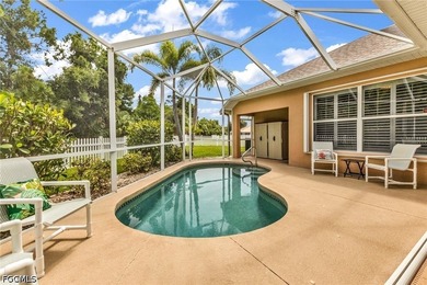 Start your SW Florida life off in a new home in Burnt Store - photo 44