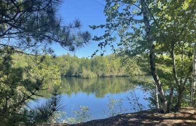 (private lake, pond, creek) Acreage For Sale in Mosinee Wisconsin