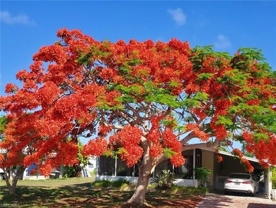 Bonita Lakes Area Home For Sale in Bonita Springs Florida