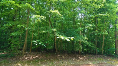 Lake Lot For Sale in Rutledge, Tennessee