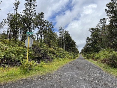Rarely available Gorgeous Square 3 acre Corner Property in Fern - photo 11