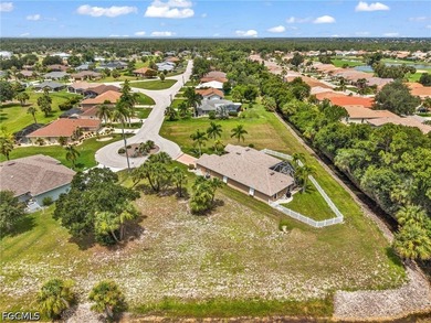 Build your dream home in one of Punta Gorda's most desirable - photo 12