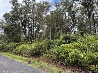 Rarely available Gorgeous Square 3 acre Corner Property in Fern - photo 13