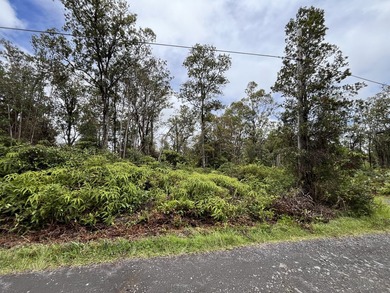 Rarely available Gorgeous Square 3 acre Corner Property in Fern - photo 15
