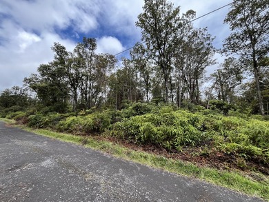 Rarely available Gorgeous Square 3 acre Corner Property in Fern - photo 16