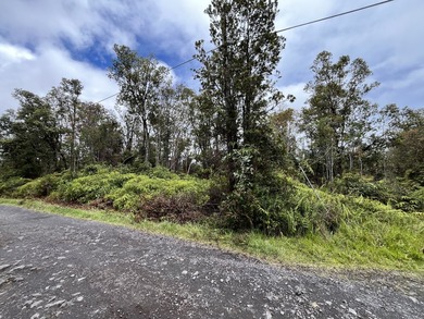 Rarely available Gorgeous Square 3 acre Corner Property in Fern - photo 17
