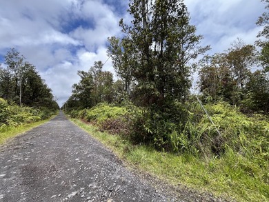 Rarely available Gorgeous Square 3 acre Corner Property in Fern - photo 18