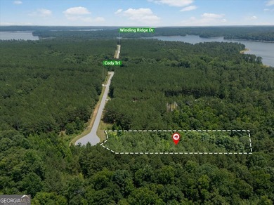 Build your dream lake home on one of the most desirable - photo 2