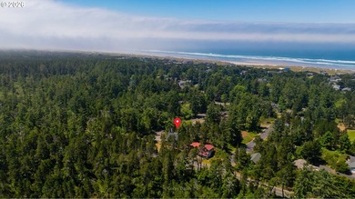Sweet, bright and light beach cabin with wall of windows facing - photo 26