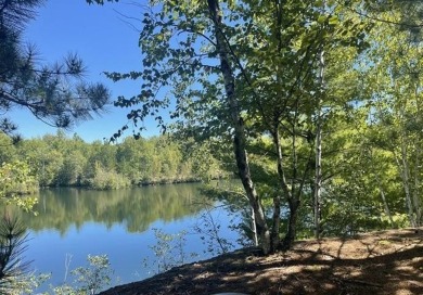 (private lake, pond, creek) Acreage For Sale in Mosinee Wisconsin