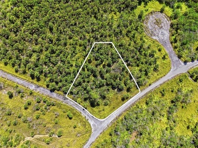 Build your dream home in the growing Port Malabar area of Palm - photo 1