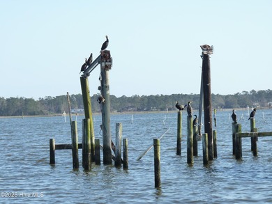 Prime 225' of beautiful water frontage along the Newport River - photo 36