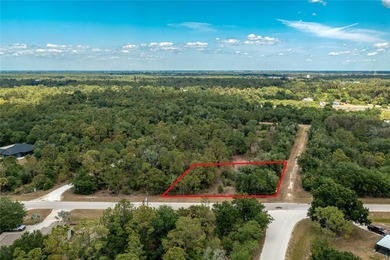 Build the Florida lifestyle you've been dreaming about on this - photo 3